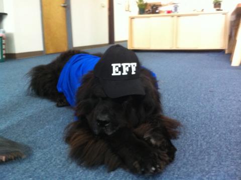 Kodi rocking at EFF hat